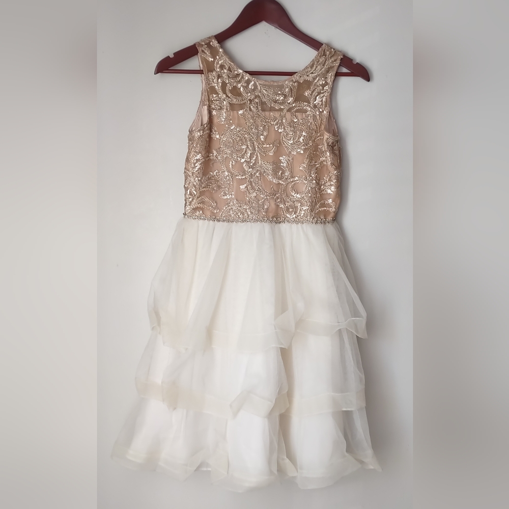 Chantilly Place Mesh Cascading Ball Gown